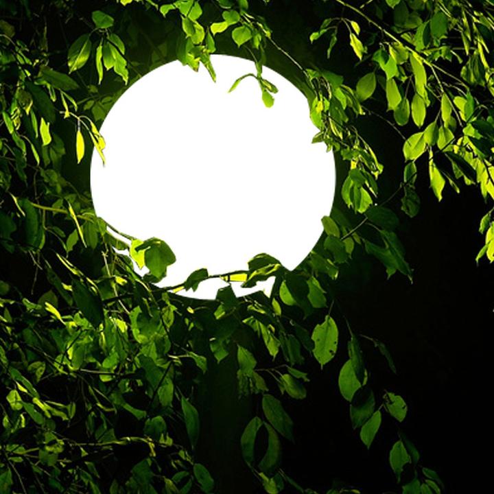 Produktbild s.luce Globe Hänge (E27)