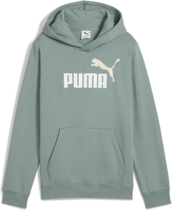 Image du produit Puma ESS 2 COLOR No. 1 Logo Hoodie FL B (152)