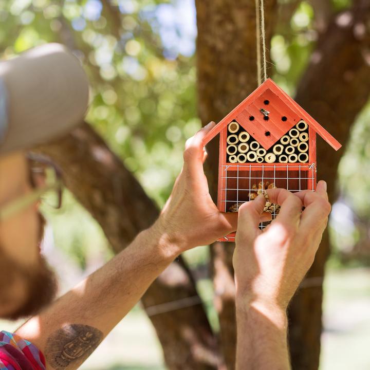 Immagine prodotto Relaxdays Hotel per insetti (Api, Coccinelle, Vespe scavatrice)