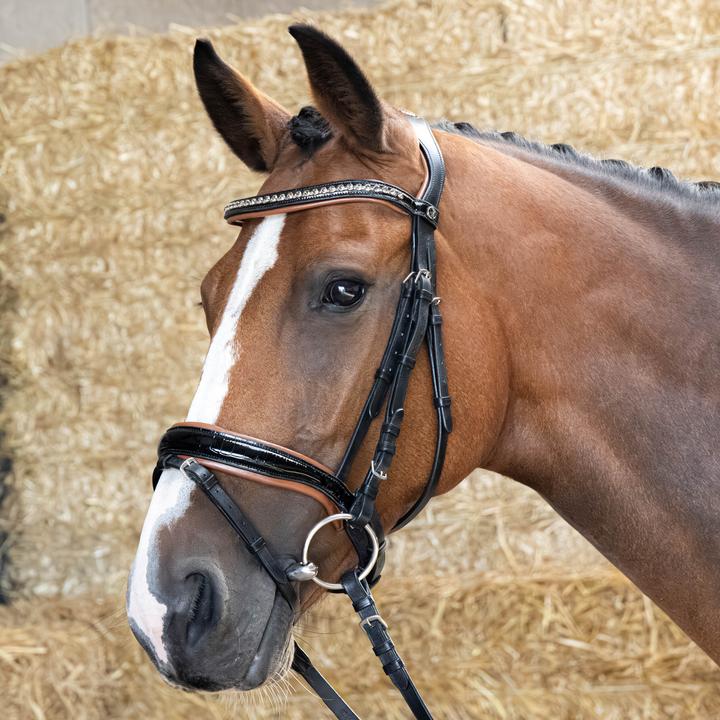 Produktbild Harry's Horse Trense