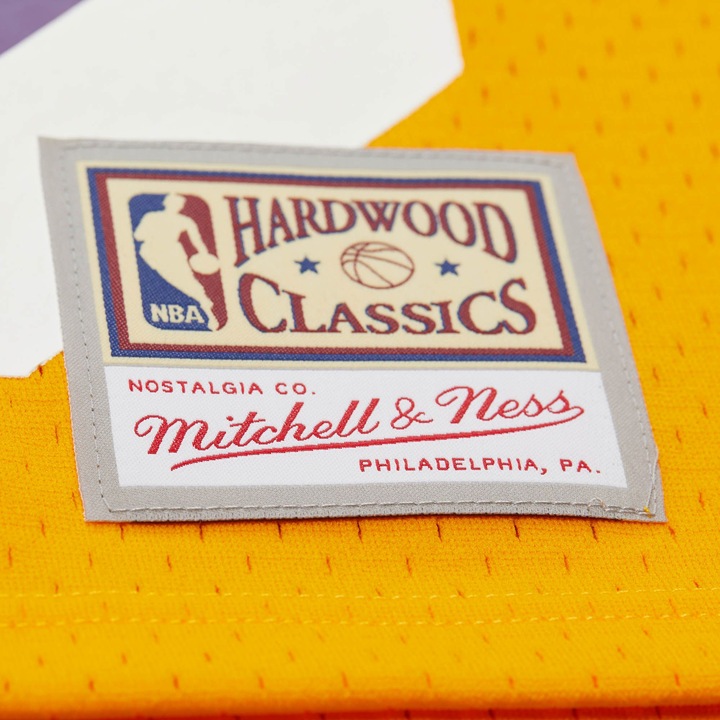 Actual product image Mitchell & Ness Swingman Mesh Jersey Los Angeles Lakers Dennis Rodman - M (M)