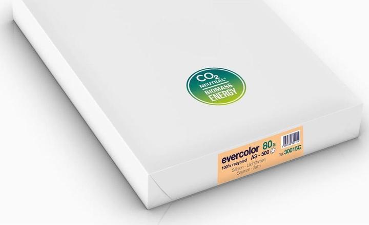 Actual product image Clairefontaine Multifunctional paper evercolor RC A3 420x297mm 80g/qm salmon PU=500 sheets (80 g/m², 500 x, A3)