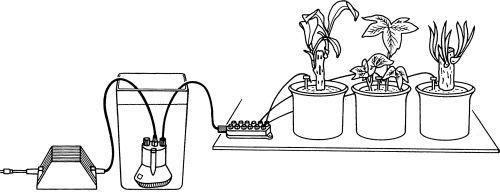 Productafbeelding Gardena Vakantie bewateringsset (Set druppelirrigatie)
