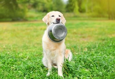 Image du produit Happy Pet Voerbak Rvs