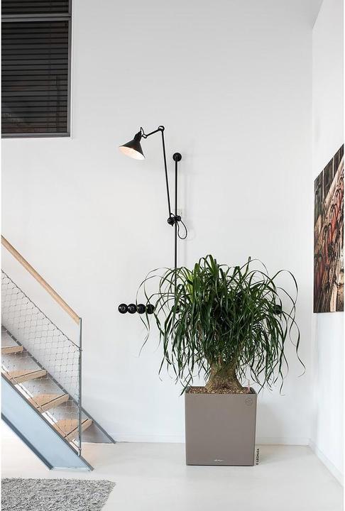 Produktbild Lechuza Cube (49 x 49 x 49.50 cm)