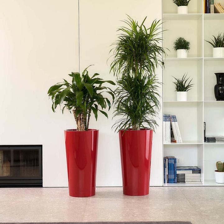 Produktbild Euro3plast Tuit (33 x 61 cm)