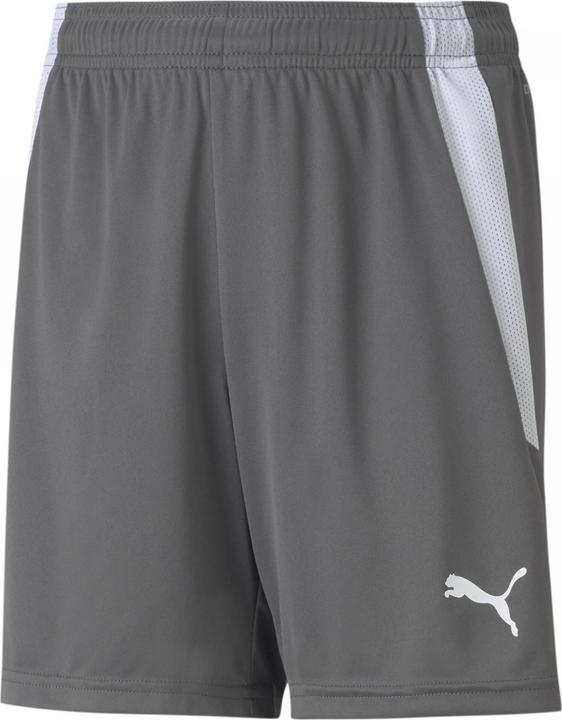 Actual product image Puma teamLIGA Shorts Jr-704931 (164)