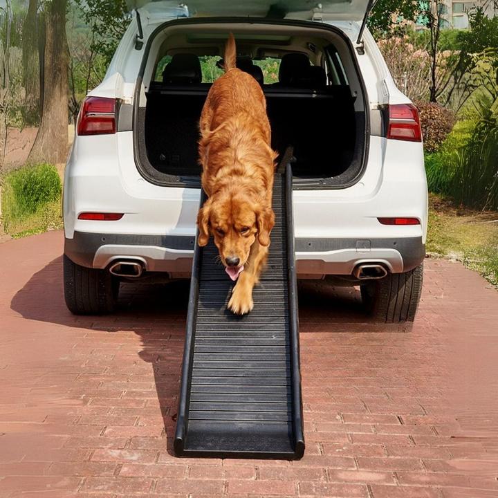 Immagine prodotto Hermex Hunderampe Klapp-Rampe Einstieghilfe Aufstiegshilfe Tiertransport (Cane, Pieghevole)