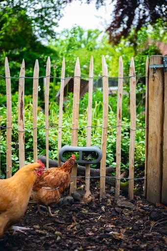 Actual product image Beeztees Chicken Feeder, Grey