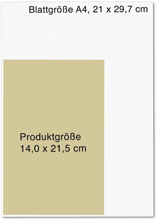 Actual product image Die junge Wanderhure (German, Iny Lorentz, 2023)