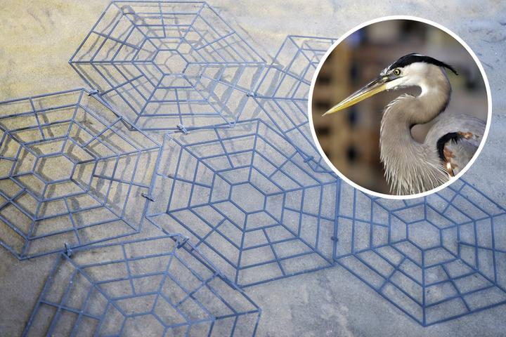 Actual product image Gardigo Bird repellent Pond Protectio