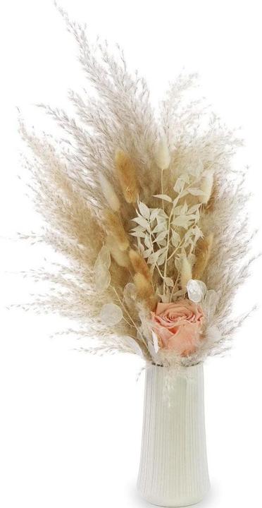 Actual product image Soli Collection Peach (Dried flowers)