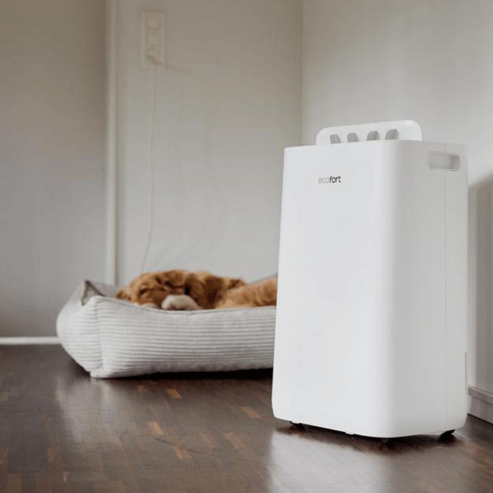 Image du produit ecofort ecoQ DryAir 25L Energy Saver Complete (60 m², 25 l/24h)