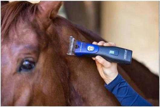 Image du produit Kerbl Favorita CLi, 2 batterie bleu nuit (Chien, Chat, Cheval)