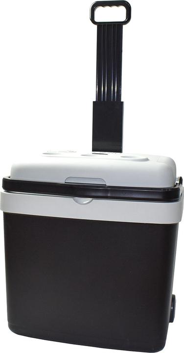 Black Ice Glacire trolley chaud/froid bi-énergie 33L 12/230V Digitec