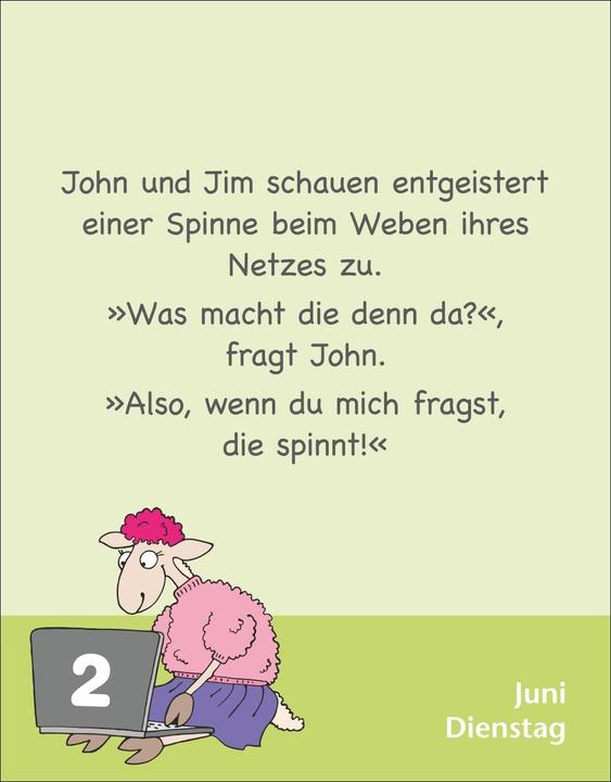 Actual product image Harenberg Witze für Kids Tagesabreisskalender 2026