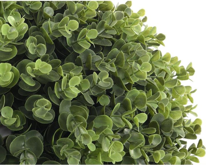 Immagine prodotto Ozaia Diava (66 cm)