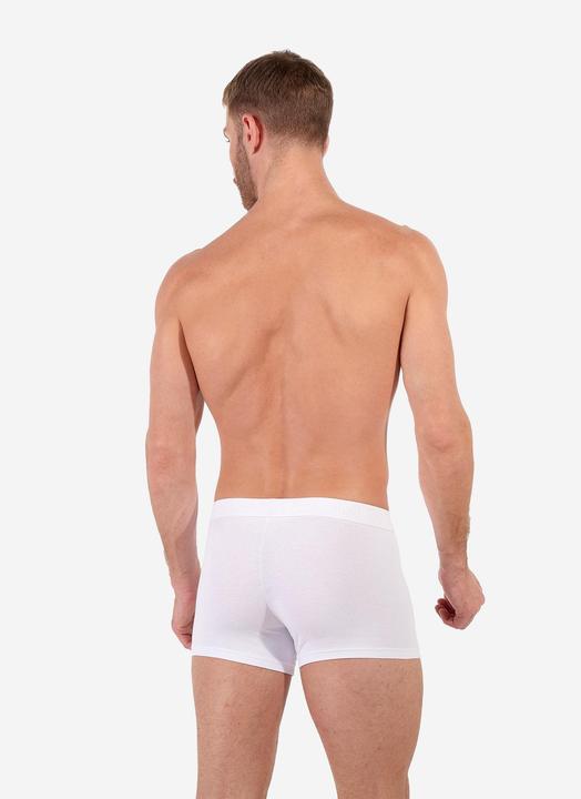 Immagine prodotto HOM Baumwolle-Stretch Pants (M, confezione da 3)