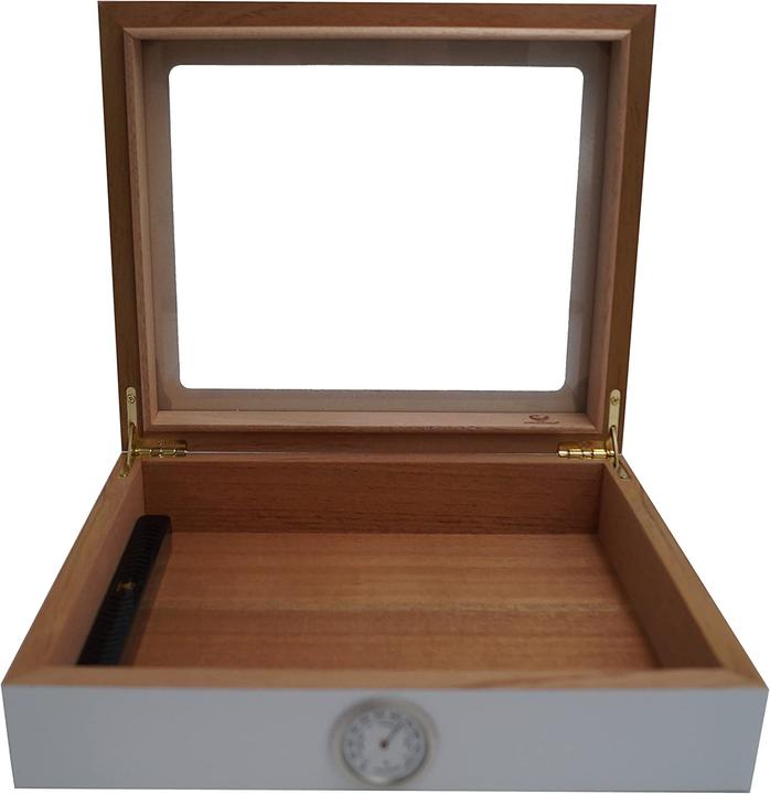 Actual product image Germanus Mensalla White (30)