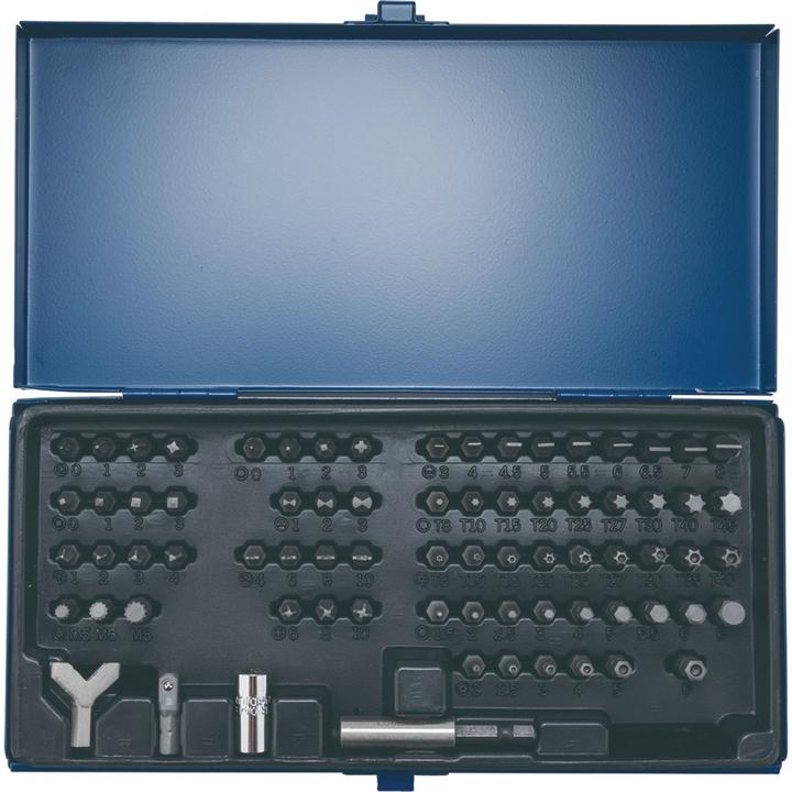 Actual product image Tecwerk Bitsortiment (Allen screw, Inner square, Internal multi-tooth, Screw slot, Tri-wing)