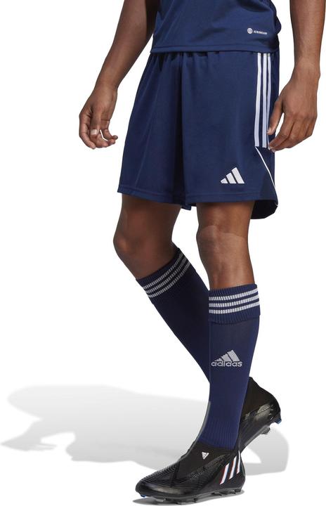 Actual product image adidas Tiro 23 training shorts men (M)