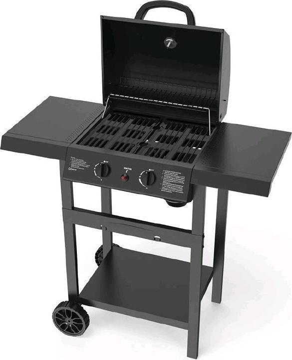 Actual product image Mr. Grill Gasgrill EasyFire 2 Brenner (5 kW)