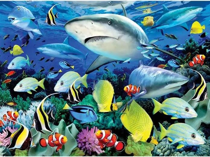 Magni Pittura con i numeri - Junior "Vita marina", quadro fai da te di circa 40 x 32,5 cm, inclusi 7