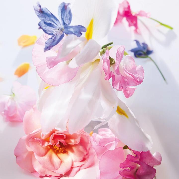 Immagine prodotto Dior Miss (Eau de parfum, 20 ml)