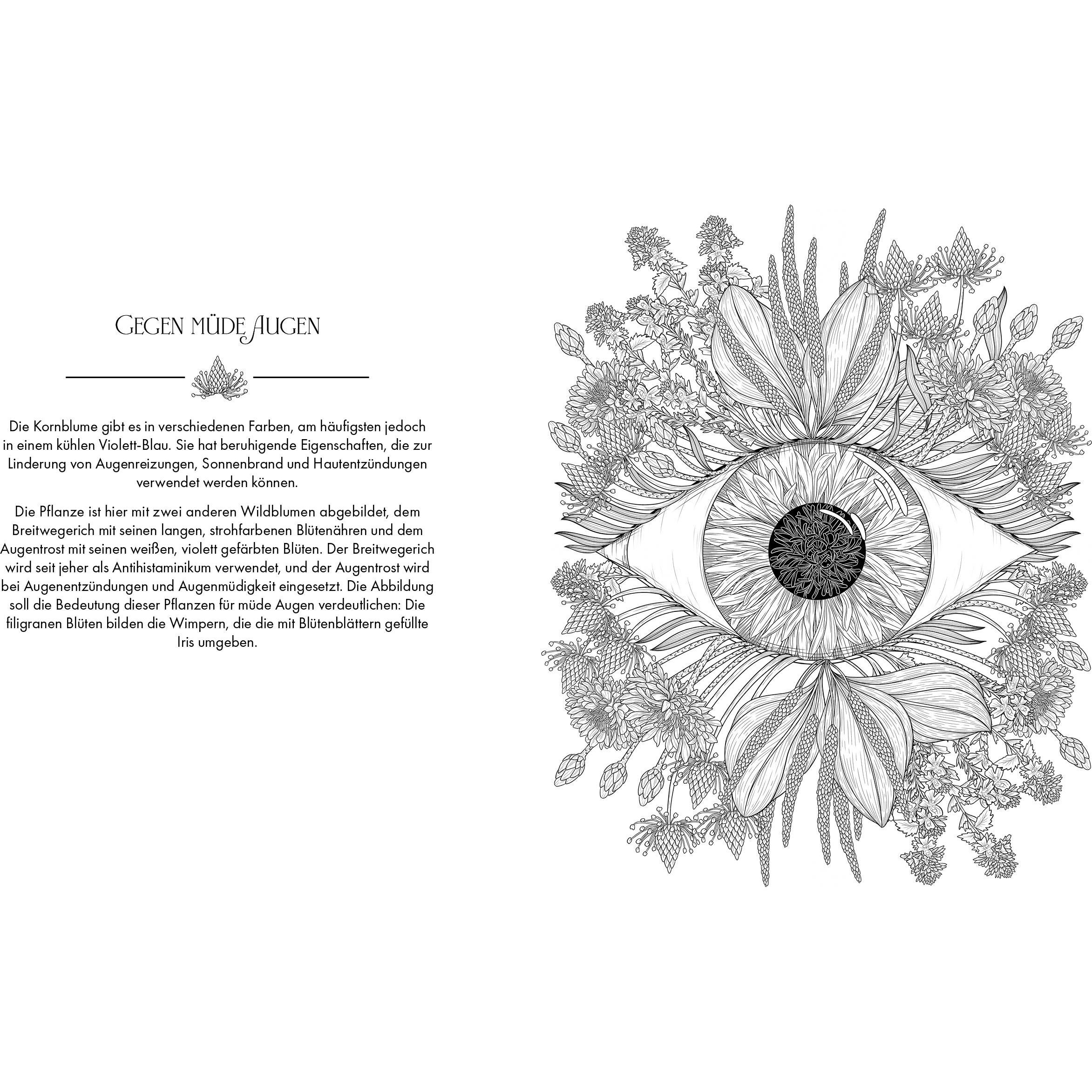 Thumbnail - Die Magie der Natur, Ratgeber von Stratten Peterson