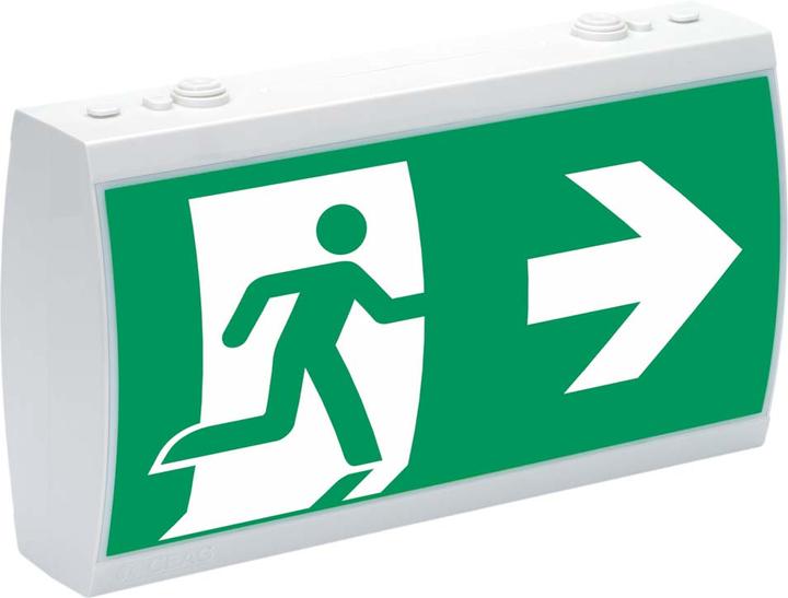Actual product image Ceag Emergency luminaire Emergency sign luminaire LED 4x1W RZ 29021 LED CG-S