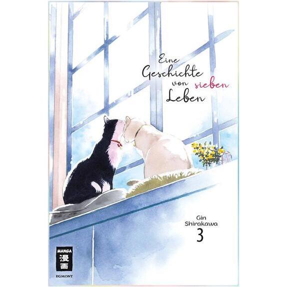 Eine Geschichte von sieben Leben 03, Belletristik von Gin Shirakawa, Christine Steinle
