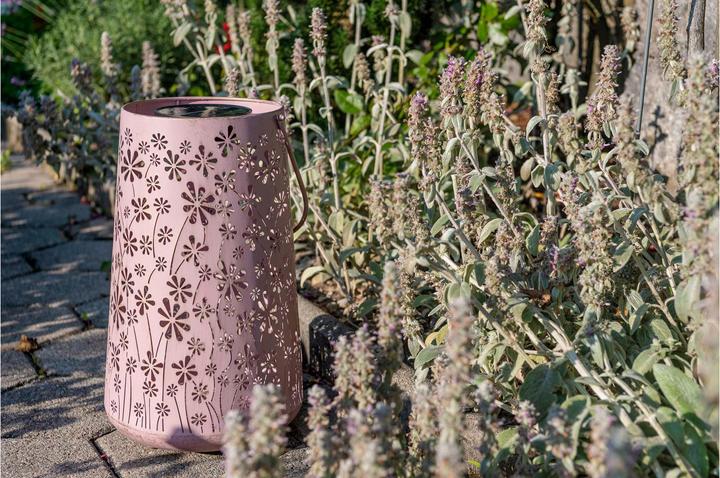 Produktbild STT Solar Antic Lantern Daisy