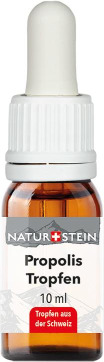 Naturstein Propolis Tinkt (1 pièce(s), 41 g)