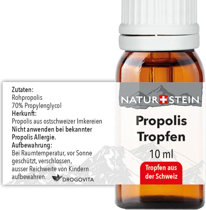 Valori nutrizionali e ingredienti Naturstein Tintura di propoli (1 Pezzo/i, 41 g)