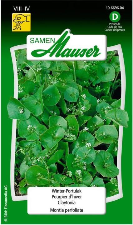 Image du produit Samen Mauser Portulaca d'hiver (Graines de légumes)
