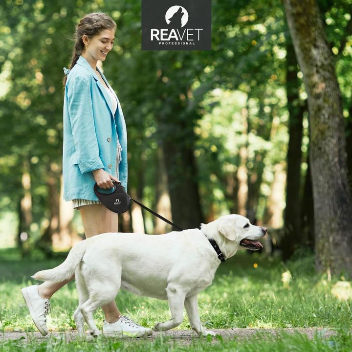 Image du produit Reavet Rollleine (Chien, Promenade)
