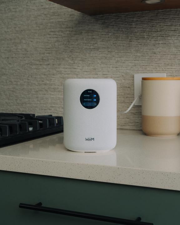 Image du produit WiiM Son Lpwisndw (Amazon Alexa, Apple Siri, Assistant Google)