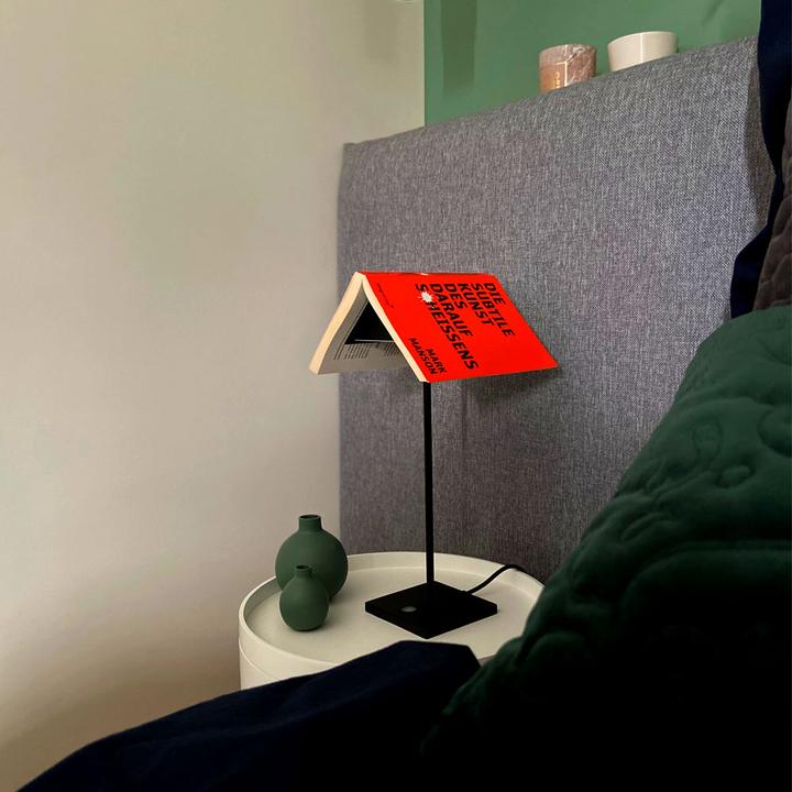 Immagine prodotto s.luce Libro (650 lm)