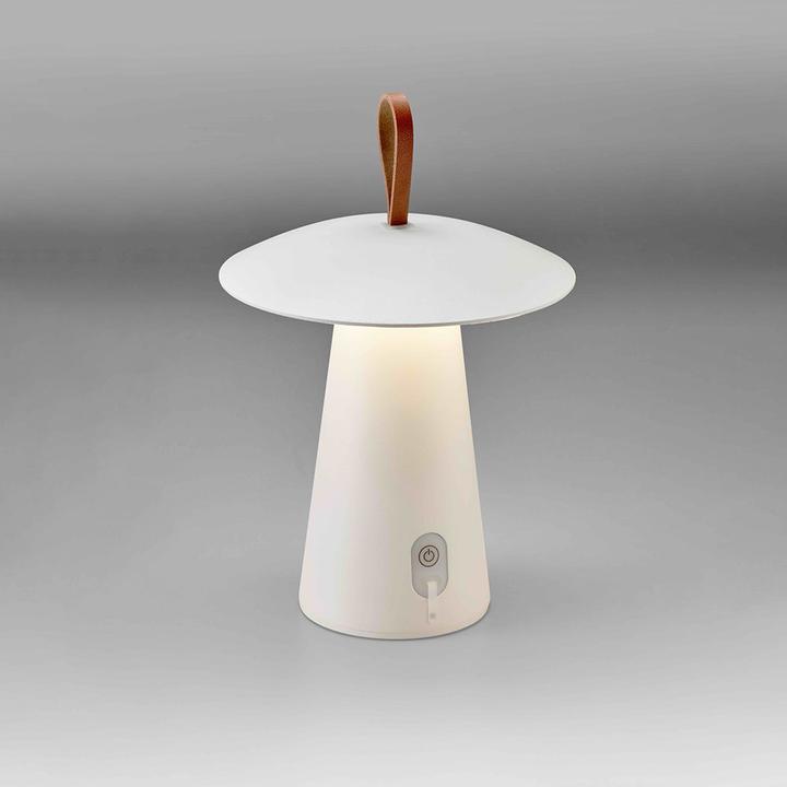 Produktbild Licht-Trend Homie (263 lm)