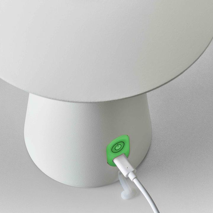 Produktbild Licht-Trend Homie (263 lm)