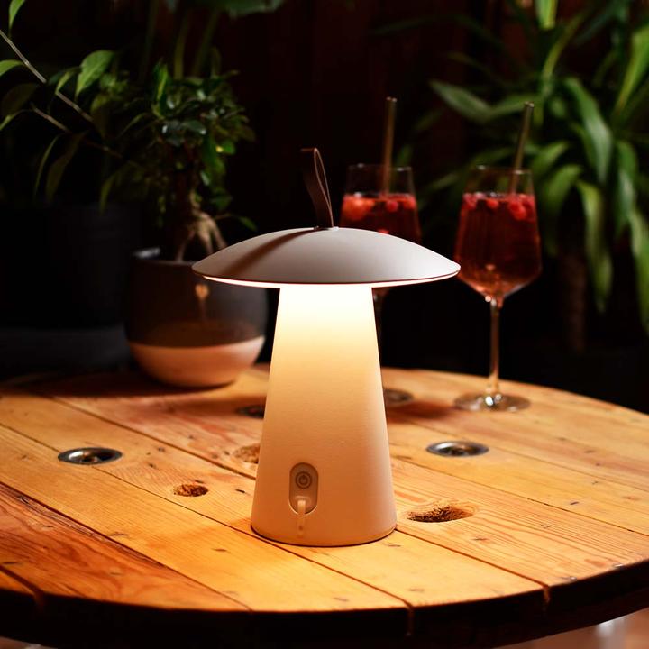 Produktbild Licht-Trend Homie (263 lm)