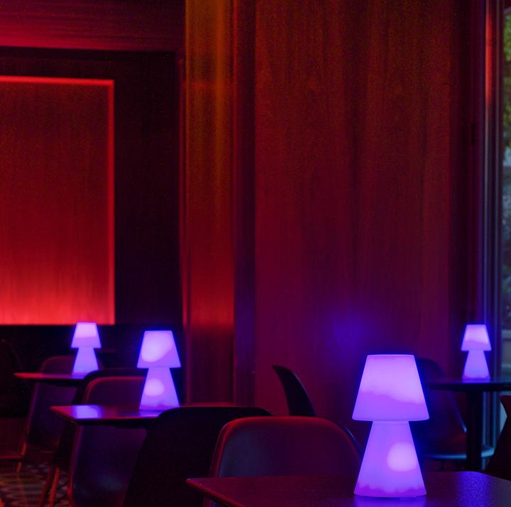 Image du produit Newgarden Lola