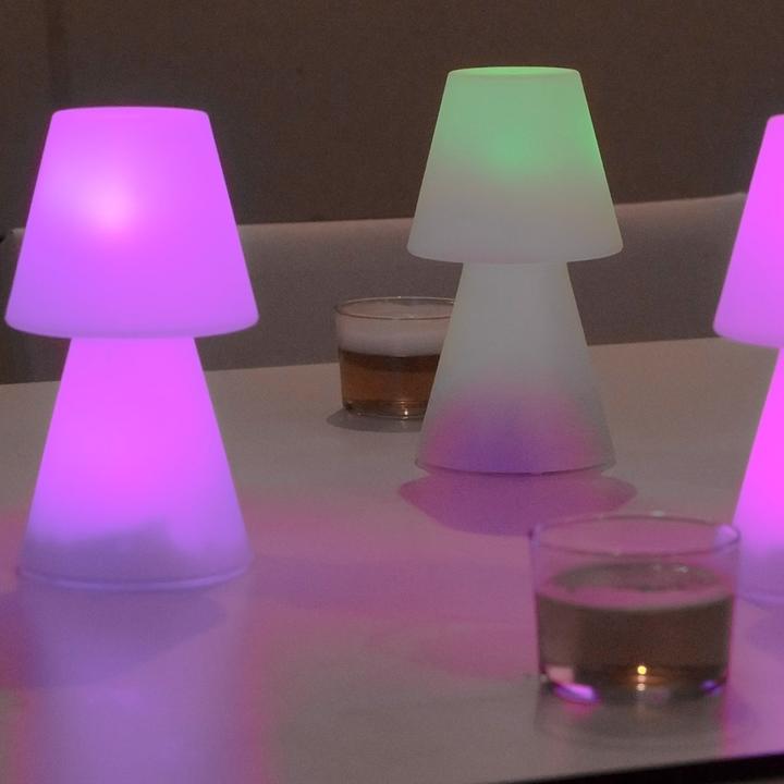 Image du produit Newgarden LOLA 20 LED Lampe de table RGB pour 3 piles AAA