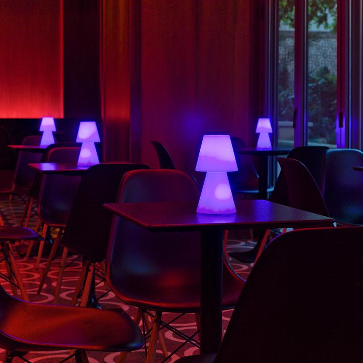 Image du produit Newgarden LOLA 20 LED Lampe de table RGB pour 3 piles AAA