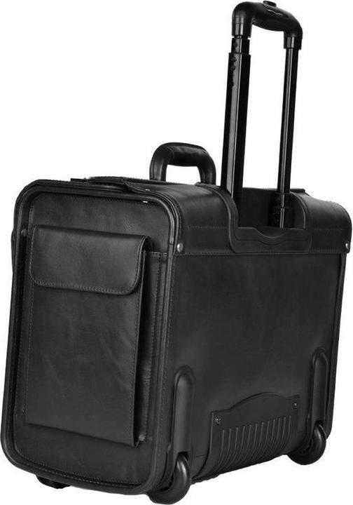 Actual product image Dermata were pilot case 45.5cm from vegatabile full cowhide (37 l)