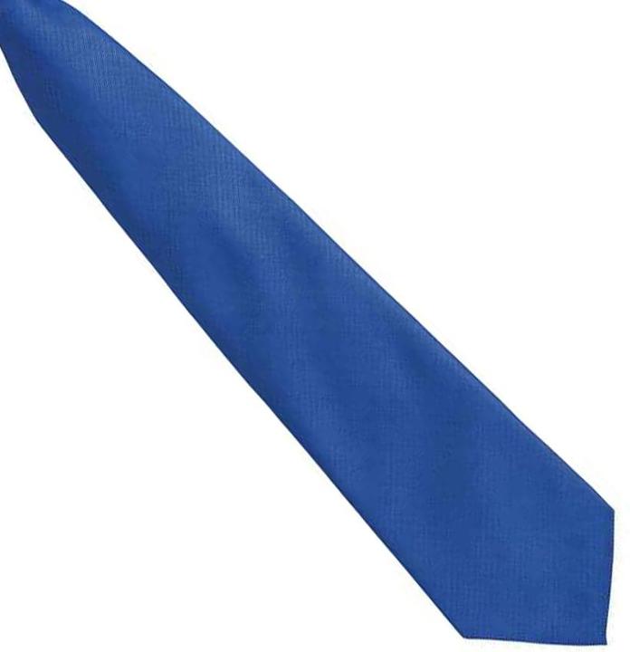 Actual product image Premier Unisex Adult Colours Fashion Plain Clip-On Tie