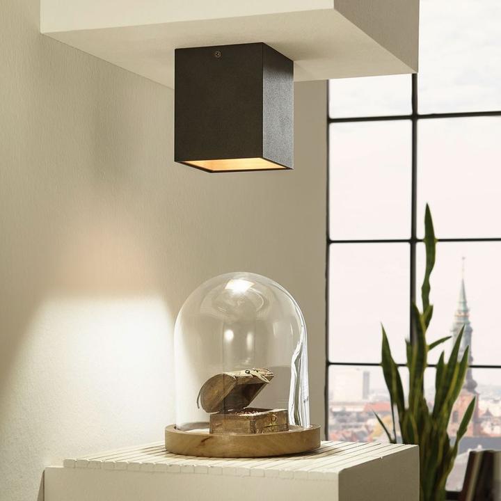 Image du produit Licht-Trend Madras Noir, Or (340 lm)