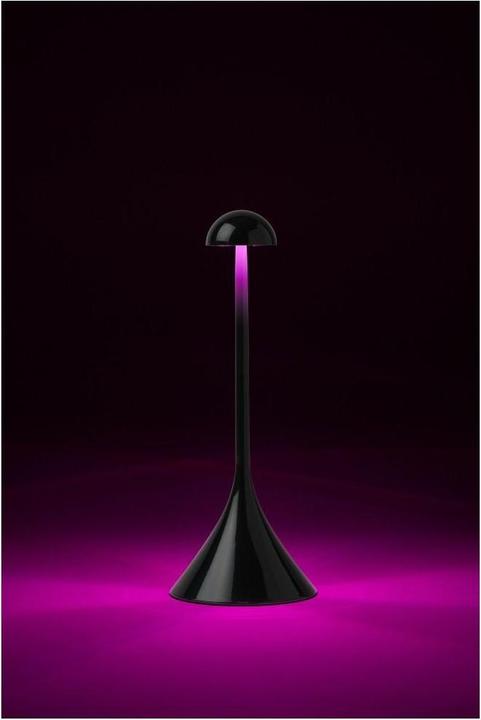 Image du produit Lexon Lamp Steli S Dome table top black (100 lm)