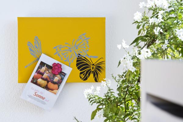 Produktbild Marabu Magnetfarbe (225 ml)