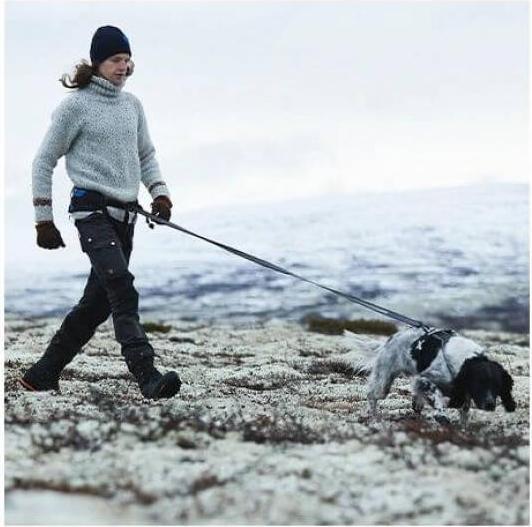 Immagine prodotto Non-Stop Dogwear Bungee (XXL, Cane, Generale)